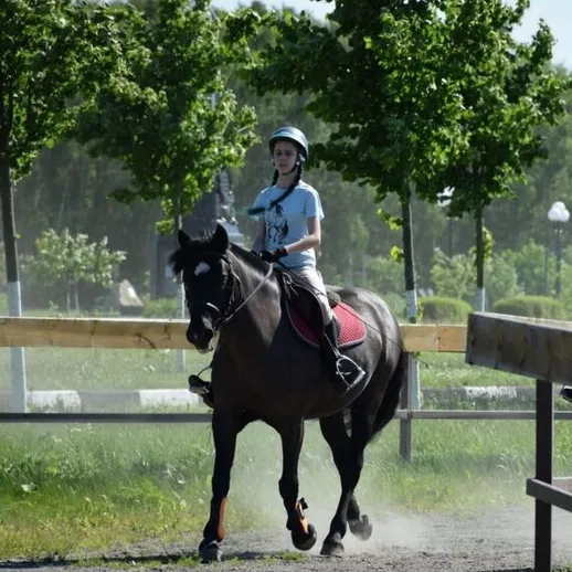 Девушка на лошади тренируется в парке в солнечный день