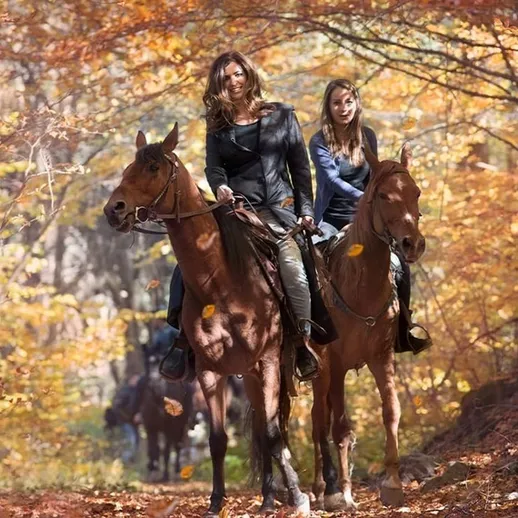Две женщины ездят на лошадях по лесу осенью среди желтых листьев
