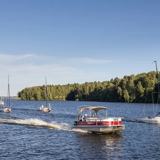 Лодки на воде в солнечный день у берега соснового леса