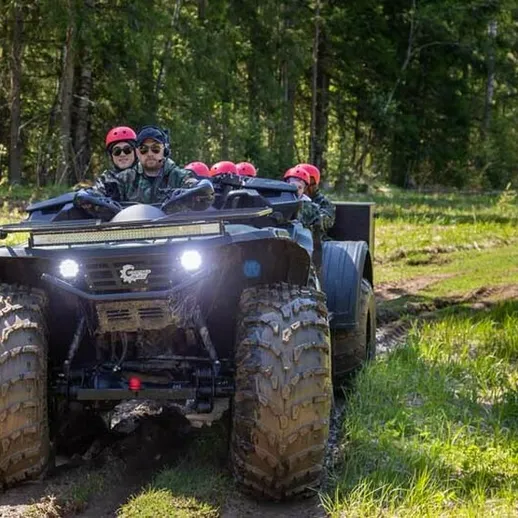 Группа людей на квадроцикле исследует лесную местность в солнечный день