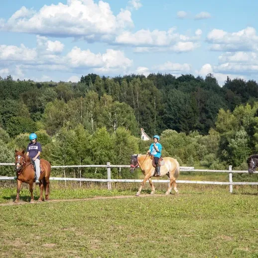 Тайные прогулки на лошадях в живописном парке в солнечное время года