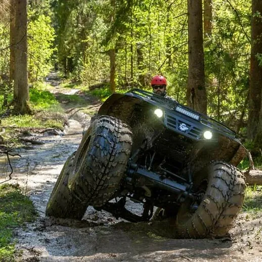 Внедорожник на бездорожье в лесу во время солнечного дня