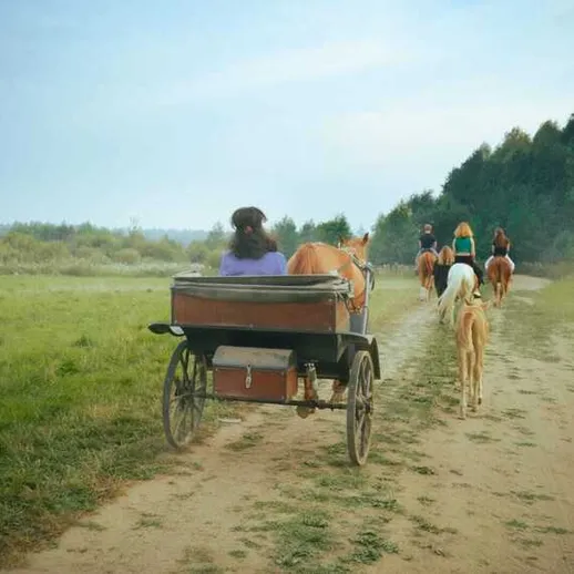Прогулка на лошадях по грунтовой дороге в живописной местности