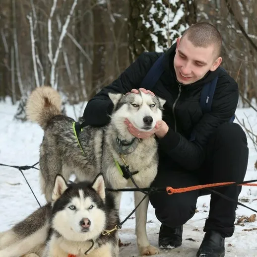 Мужчина ухаживает за хаски в снежном лесу во время зимнего отдыха на природе