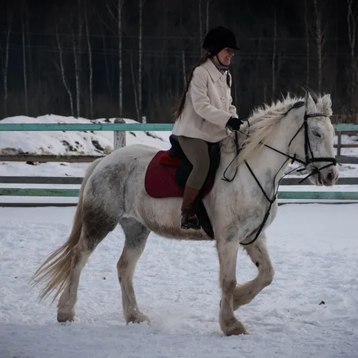 Наездница на белом коне в зимнем манеже, окружённом снежным пейзажем