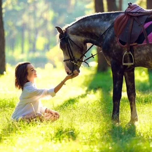 Женщина сидит на grass и улыбается лошади в лесу в солнечный день