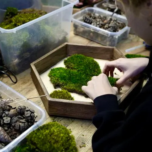 Создание уникального мохового декора в мастерской: мастер-класс по оформлению растений в контейнерах