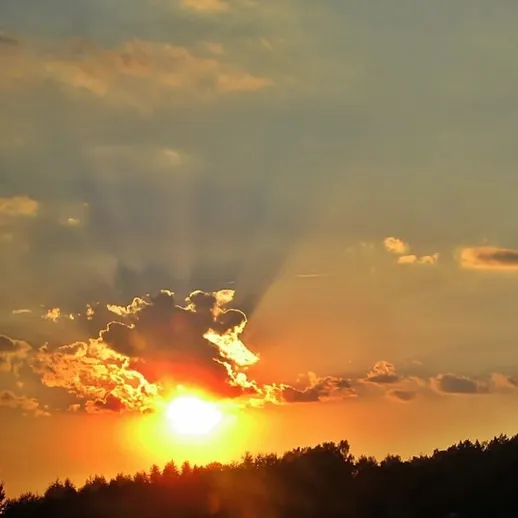 Закат солнца над лесом в поздний вечер
