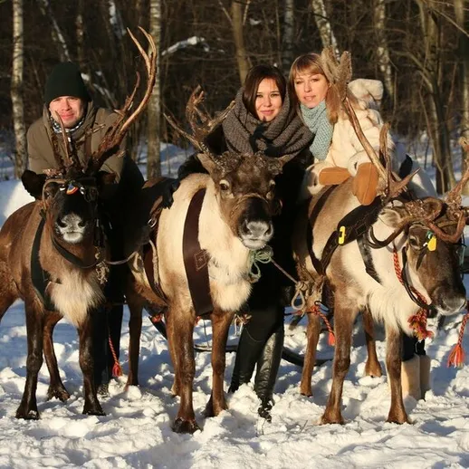 Люди на оленях в зимнем ландшафте, окруженные снегом и деревьями