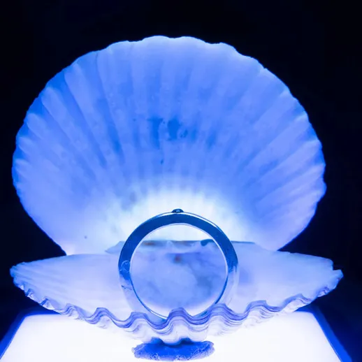 Невидимый свет illuminates кольцо в ракушке на фоне синего света в темном пространстве
