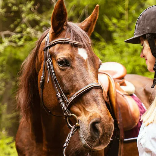 Верховая езда в живописном лесу, молодая женщина общается с лошадью в окружении природы Верховая езда в живописном лесу, молодая женщина общается с лошадью в окружении природы
