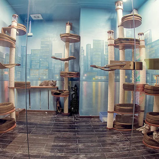 Кошачий интерактивный центр с домиками и когтеточками в современном стиле