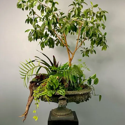 Женственное живое растение в стильном составе на подставке в современном интерьере