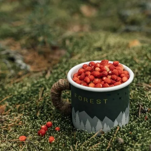 Кружка с лесными ягодами на фоне мха в лесу, собранные в середине осени в солнечный день