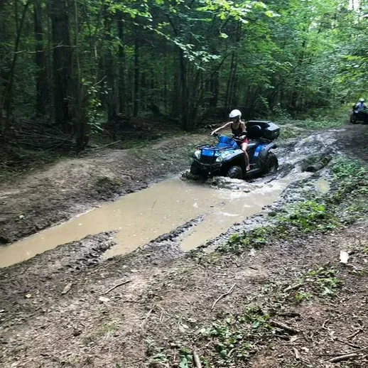 Внедорожные квадроциклы на грязной трассе в лесу в ясный летний день