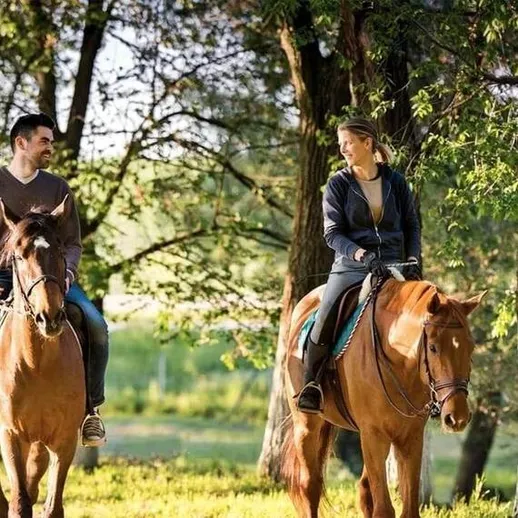 Прогулка на лошадях в парке весной с друзьями