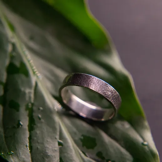 Обручальное кольцо на листьях растения в естественном освещении