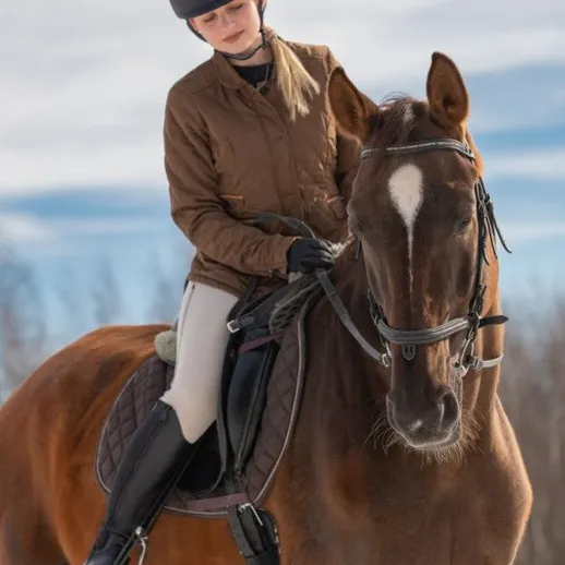 Женщина на лошади в зимнем лесу занимается верховой ездой в ясный день