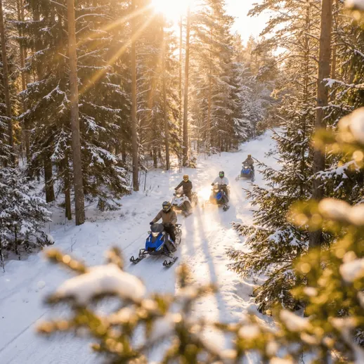 Встреча зимы: группа людей на снегоходах в сосновом лесу под вечерним солнцем