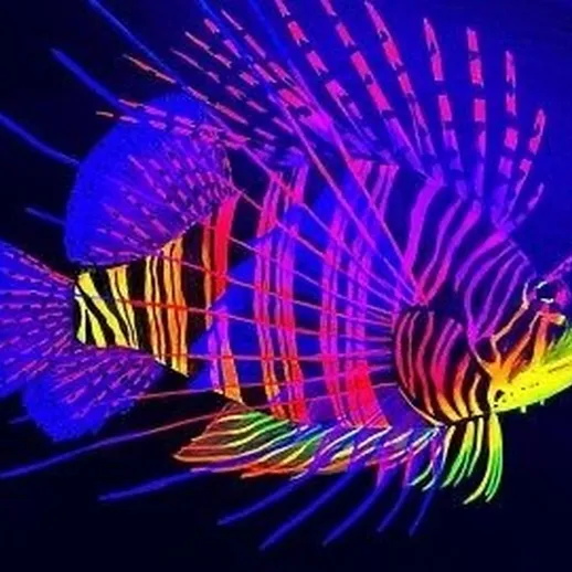 Яркая тропическая рыба под ультрафиолетовым светом в аквариумной среде