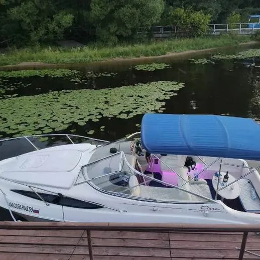 Лодка на берегу реки, окруженная зеленью, с голубым тентом в летний день