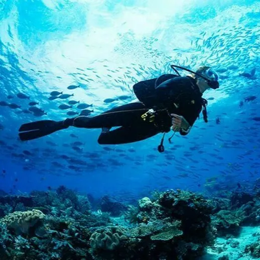 Погружение под воду в ярком коралловом рифе, исследование морской жизни с аквалангом