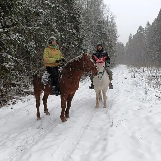 Конные прогулки зимой по заснеженному лесу в России