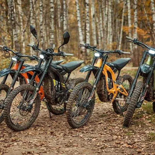 Электрические велосипеды на трассе в лесу осенью с яркой листвой