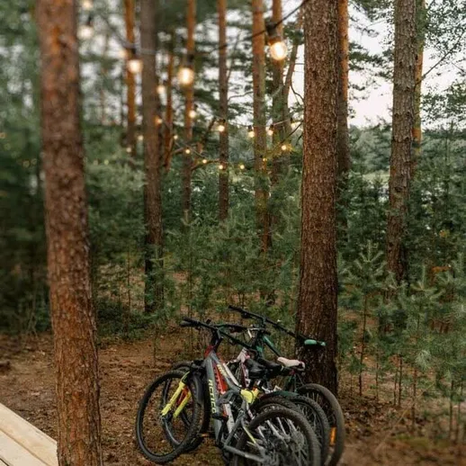 Велосипеды на фоне сосен в лесу, окруженные огнями в вечернее время