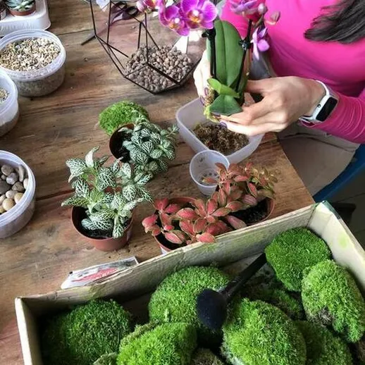 Создание композиции из орхидей и растений в мастерской по флористике