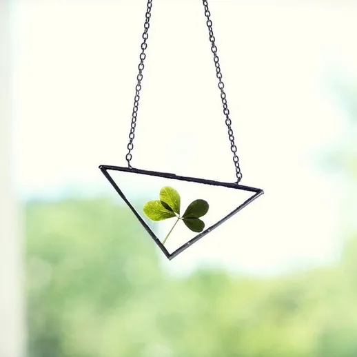 Стеклянная рамка с трёхлистным клевером, висящая у окна в солнечный день