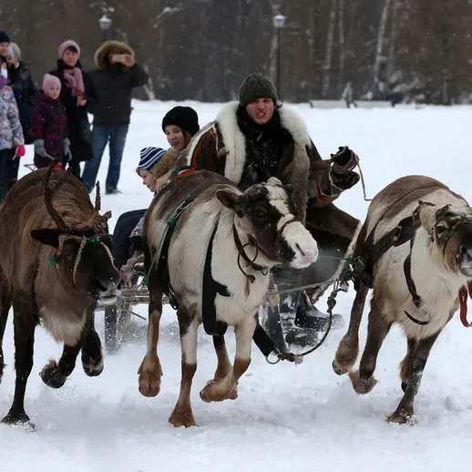 Сани с оленями мчатся по снежному парку во время зимних праздников с толпой зрителей вокруг