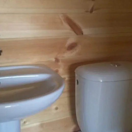 Уютный интерьер ванной комнаты со светлым деревянным отделкой и санитарной арматурой