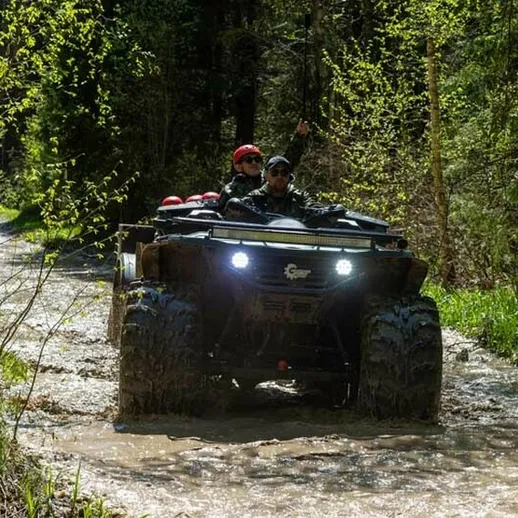 На квадроцикле по лесной тропе в солнечный день в весенний период