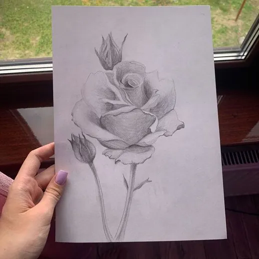 Рисунок розы на бумаге, держится в руке на фоне окна с зеленым видом