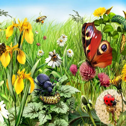 Весенний цветущий луг с бабочками, пчелами и насекомыми под ясным небом