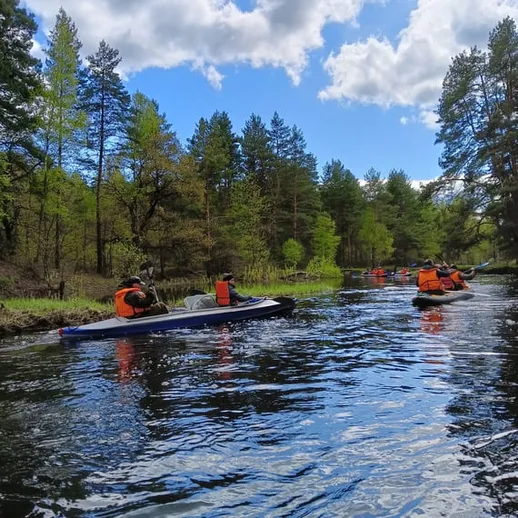 На реке в лесу: группа туристов на каное в солнечный день с яркими спасательными жилетами