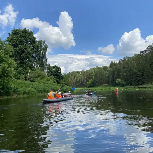 Каякеры сплавляются по спокойной реке в лесной местности в ясный летний день