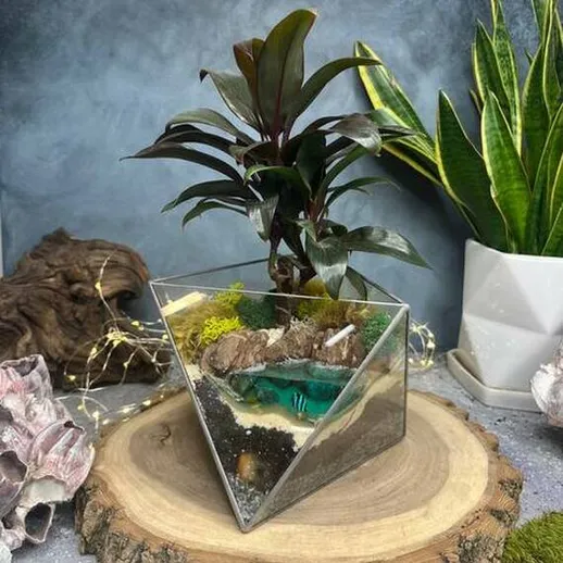 Уникальный террариум с пейзажем тропического острова и растением в интерьере на деревянной подставке