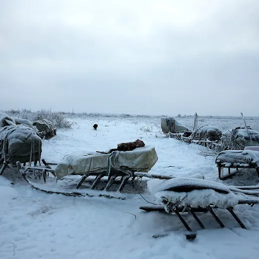 Снег и лед в зимней tundre, замерзшие сани на фоне зимнего пейзажа