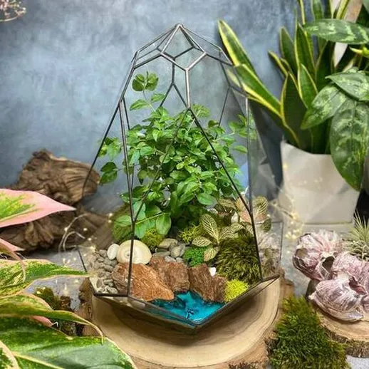 Красивый террариум с зелеными растениями, камнями и элементами природы на фоне интерьера