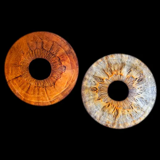 Два круглых объекта с характерной текстурой и цветом, выставленные на черном фоне