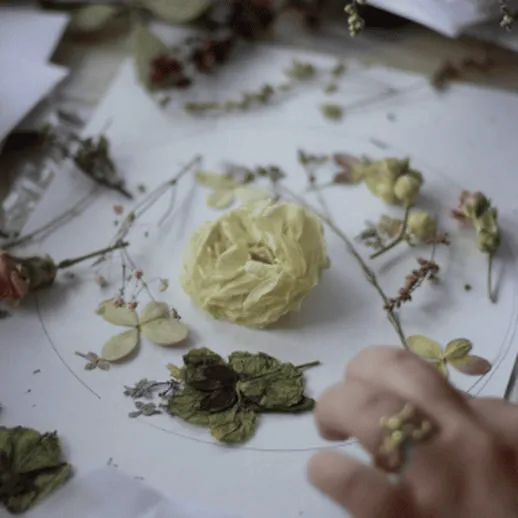 Сушка и оформление засушенных цветов на рабочем столе с белым фоном в уютной мастерской