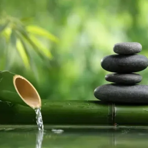 Спокойное течение воды из бамбука с камнями на фоне зелёных растений в природном окружении