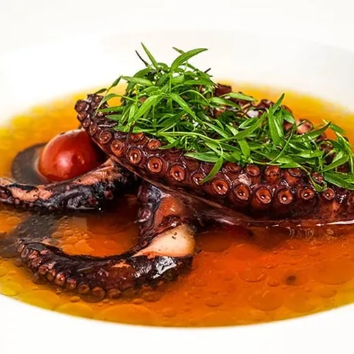 Тарелка с вареным осьминогом и зелеными травами в соусе с томатами