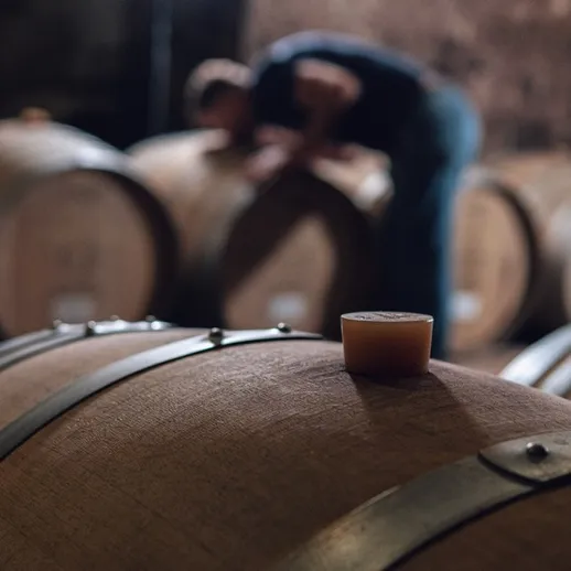 Рабочие проверяют бочки с вином на винодельне в тёмном подвале