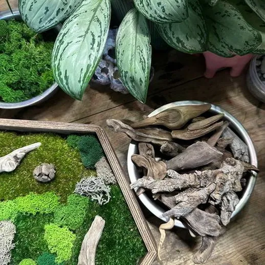 Композиция из мха и декоративных элементов на деревянном столе в уютном интерьере