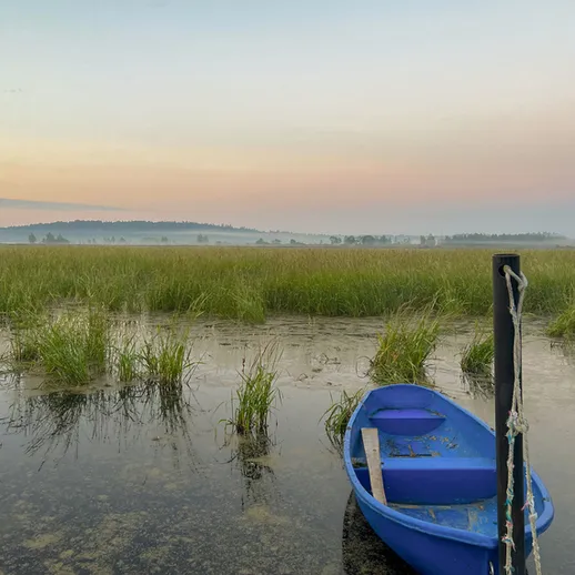 Синий катер на берегу болотистой местности под светом заката в спокойной обстановке