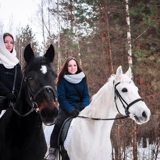 Две девушки ездят верхом на лошадях по зимнему лесу недалеко от города