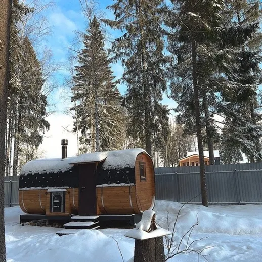 Зимний домик в лесу окружённый соснами и снежным покровом